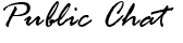 Public Chat